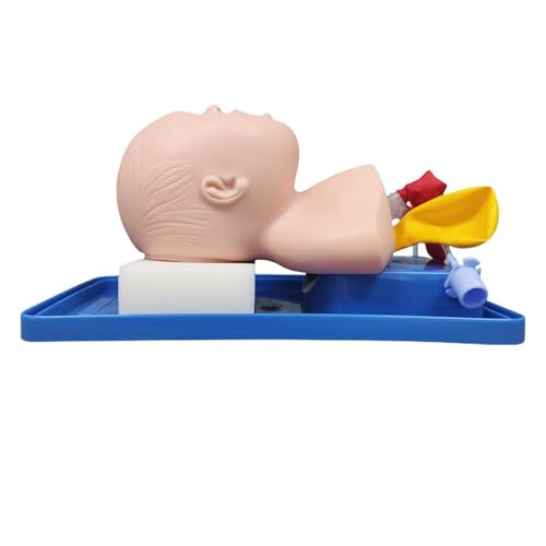 Mannequin d'intubation enfant AMITD en PVC durable de qualité médicale supérieure - 6