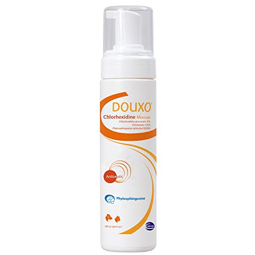 Douxo (Sogeval) Chlorhexidine Mousse for Dogs & Cats (200 ml) - Topical Solution for Skin Infections
