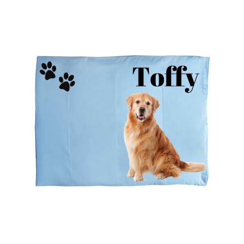 See full amazon price history chart for Lujoso Castle Pet Bed Set - 1 Pet Mat + 1 Customized Mat Cover - Microfiber Filling & 100% Cotton Long Staple Cover for Dogs, Cats, Puppies | Personalized, Comfortable, Durable | 23x21In, Sky Blue Lujoso Castle Pet Bed Set - 1 Pet Mat + 1 Customized Mat Cover - Microfiber Filling & 100% Cotton Long Staple Cover for Dogs, Cats, Puppies | Personalized, Comfortable, Durable | 23x21In, Sky Blue (B0D53KPTDF) Amazon Price History, Amazon Price Tracker