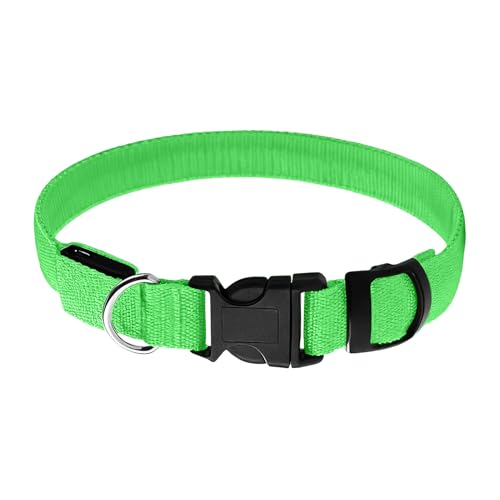 Beleuchtetes Hundehalsband: Reflektierendes Schnellverschluss- Halsband für ältere Haustiere zum Spazierengehen, Sicherheitszubehör, Haustierausrüstung mit LED- Licht, Halsband-9