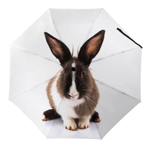 Parapluie licorne arc-en-ciel coloré, une idée cadeau utile pour femme et homme