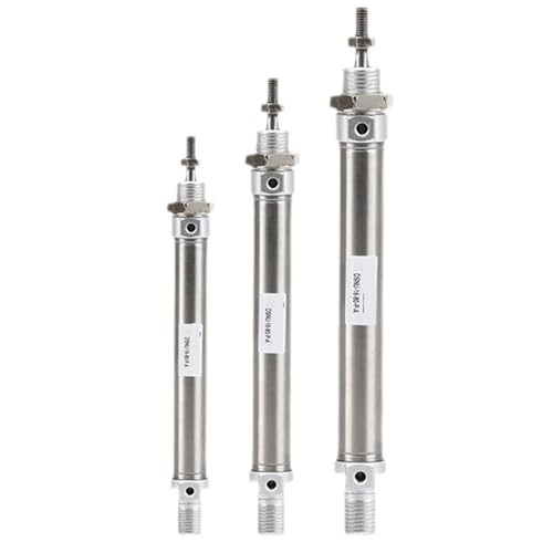 Vérin pneumatique rond DSNU-25 avec amortissement mécanique 10-P-A