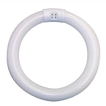 Luxo 31640 22W T-9 Fluorescent Bulb