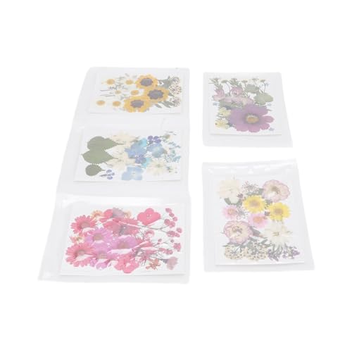 100 Flores prensadas secas para manualidades tipo 2 miniatura 6