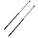 Price comparison product image Pair of Bonnet Hood Gas Struts Lift Supports 51238240596 Compatible with 7 Series E65 E66 E67 730 735 740 745 750 760 Sedan 2001-2009