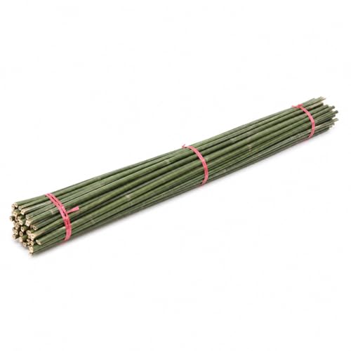 Yunmeryker Tutores para Plantas Bambú, Estacas Soporte para, Cañas para RAS, Soportes para Plantas Trepadoras