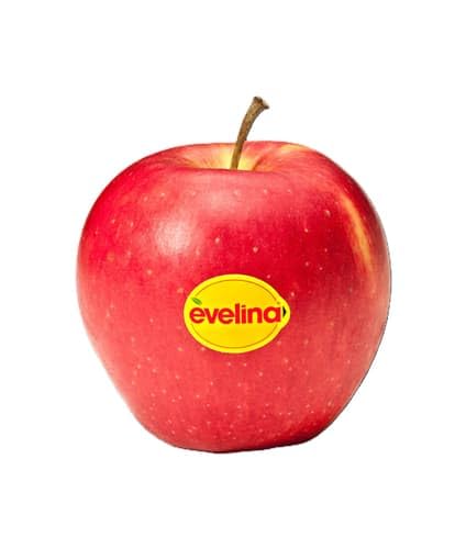 Brandenburger Apfel Evelina Schale (1 kg)