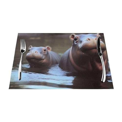 Set de table pour cuisine et extérieur : lot de 6 protections lavables pour table basse