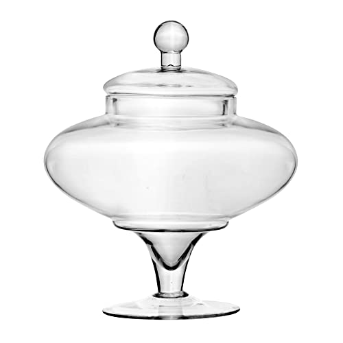 CYS EXCEL Glass Apothecary Jar. H-13.5