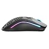 GLORIOUS Mouse (Matte Black)