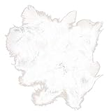  SACHET DE PLUMES BLANCHES 20G - DECORATION