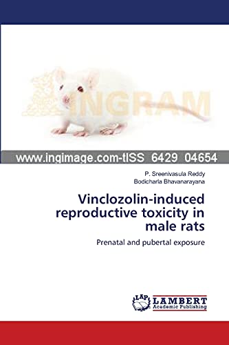 Vinclozolin-induced reproductive toxicity in male rats: Prenatal and pubertal exposure