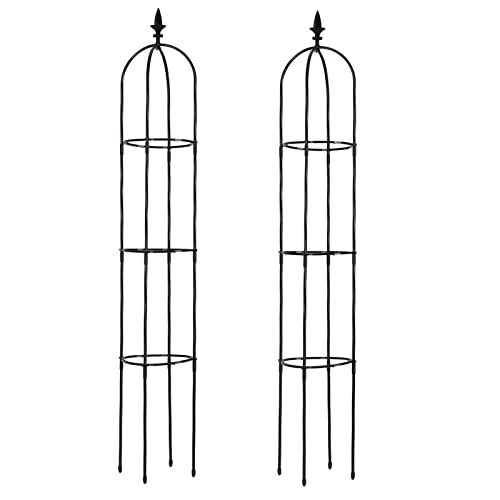 2 Pack Garden Trellis For Climbing Plants Outdoor, 6Ft Tall Rustproof Plant Support Trellis For Potted Plants Climbing Vine Rose Clematis Outdoor Indoor Garden Obelisk Trellis, Black #TOP7