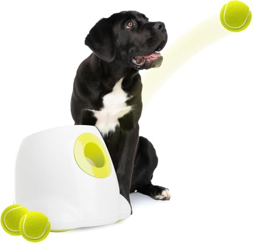 ALL FOR PAWS Automatischer Ballwerfer, mit 3pcs Tennisbälle (2.5'') Hunde Ball Interaktive Ballwurfmaschine 6 2.5' Tennisbällen Inklusive