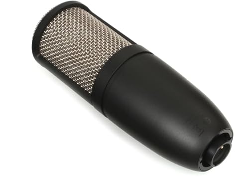 Akg 3101H00420 Pro Audio P220 High-Performance Condenser Microphone, Great For Vocals thumb #2