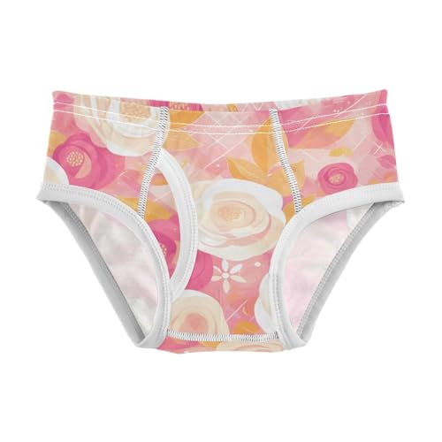 KLL Goose Gray Boys Toddler Soft Briefs Underwear Breathable Children Undies