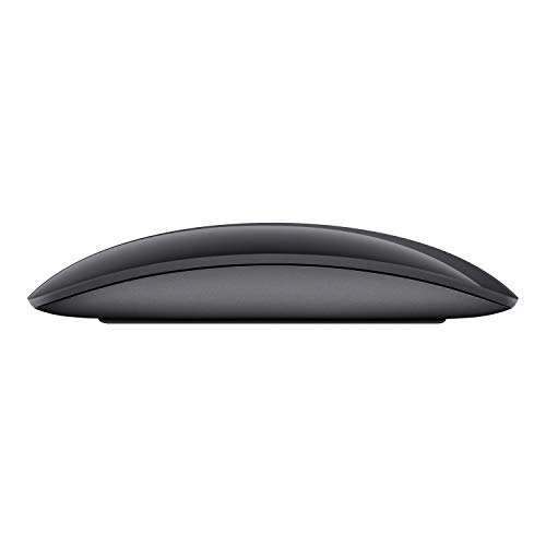 Apple Magic 2 - Mouse, Gris Espacial