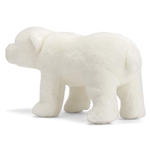 DEMDACO Polar Bear Cuddly Classic White 10 inch Children's Soft Plush Stuffed Animal Toy - Image 5