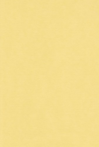 レモンページ、 Amazon | エスケント 色画用紙 A4 レモン 100枚 231906 | 色