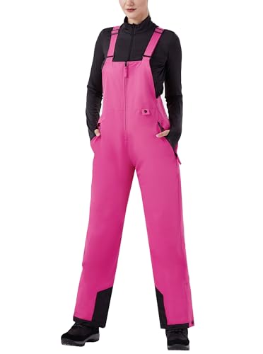 WULFUL Womens Insulated Snow Bibs Waterproof Winter Ski Pants Snowboarding Overalls