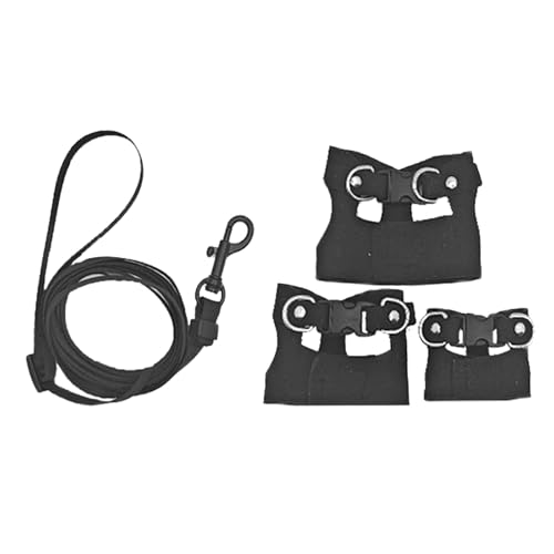 Generic 爬虫類用ハーネスとリーシュセット アウトドアペット牽引ロープ フトアゴヒゲトカゲ向け, 黒