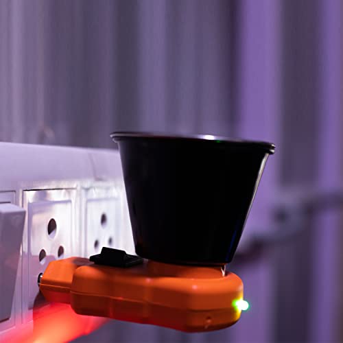 KWIZEAN Night lamp karpooram Camphor Kapoor dani Diffuser Electric Burner Machine Electrical Stand for Home Fragrance - Orange- Pack 1 (B0BVRCF361) Amazon Price History, Amazon Price Tracker