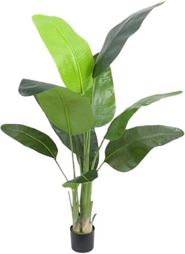 Dohera lHϗtA lHO[ G} A̖ ^[O[Aؔ vX`bN V~[V i`  y b炸 ͂Ȃ sv tFCNA lH gݗĂȒP CeA Ϗܗp ƒp Ɩp