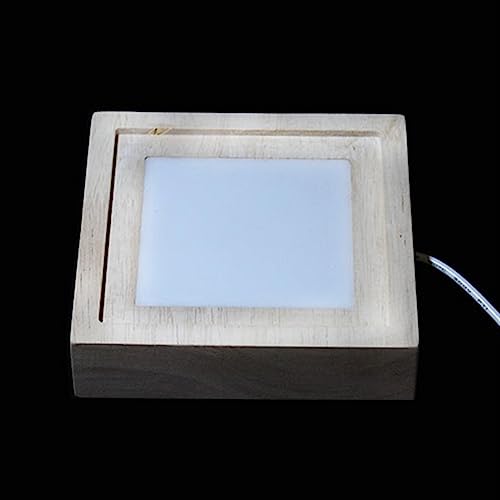 Aquarium de bureau en verre épais premium et base en bois