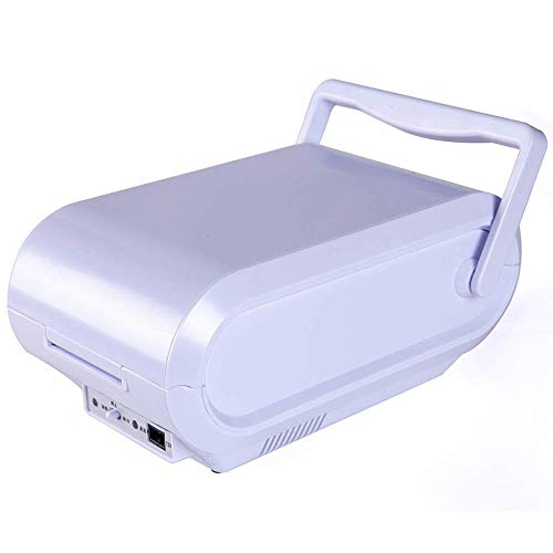 Autokühler und Wärmer Mini-Kühlschrank Mini-Kühlschrank Kühlschrank Getränkekühlschrank Tragbarer Griff Winziger Retro-Kühlschrank