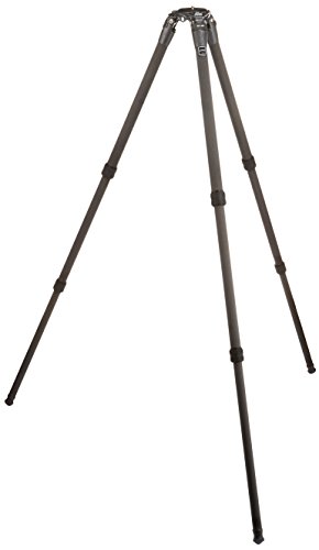 Gitzo Treppiedi Newsystematic Serie 3 CF 6X, 3