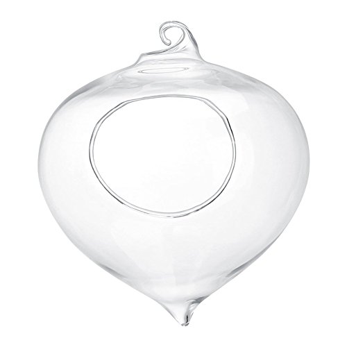 Cyrank Jardinière Suspendue en Verre, Pot de Plante Suspendu en Forme de Larme, Pots de Plantes à air, Vase de Terrarium pour Bureau, Maison, Jardin