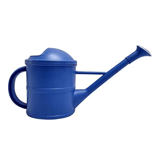 Regador FG Import Top Garden Azul