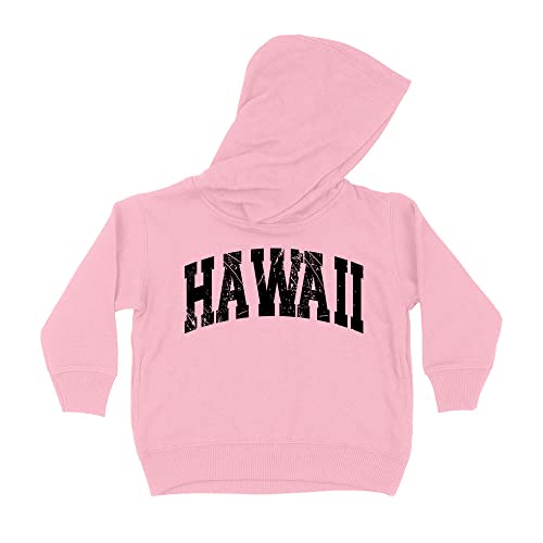 Distressed Hawaii Collegiate Kids Hoodie Sweatshirt Toddler 4T Light Pink