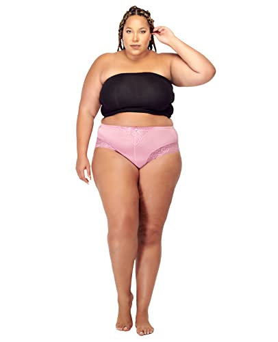 Barbra Lingerie 5 Pack Plus Size Underwear Women Light Control Briefs Panties