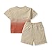 Burt's Bees Baby Baby Boys' Shirt and Pant Set, Top & Bottom Outfit Bundle, 100% Organic Cotton