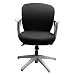 Jiyaru Rotating Armchair Slipcover Removable Stretch Computer Office Chair Cover Black (Only Cover)