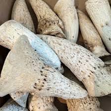 Cow Horn Marrow for dogs 1kg Natural treat, Zero fat chew by Two Amigos Pet Supplies