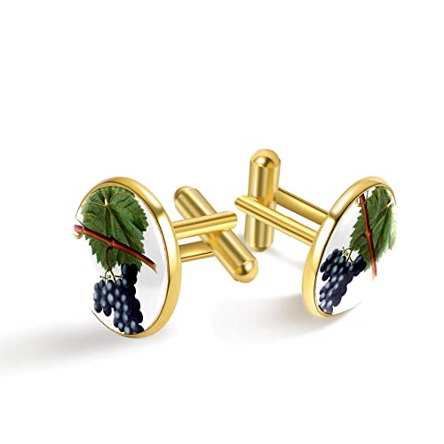 2_Zbg uhE JtX JtX{^ lCYWG[yp[P[Xtz