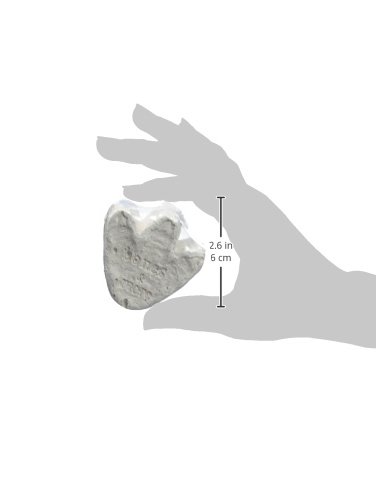 Dam SPRL Juego Educativo Esqueleto de Dinosaurio – Devenez paléontologue – grattez, fouillez, creusez, découvrez.