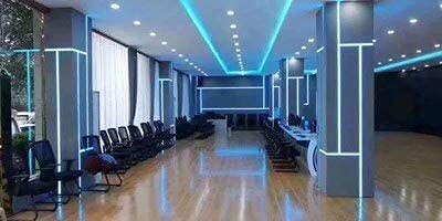 Image of 16.4FT5M COB Flexible LED Strip Light DC12V24V 528ledsm Bendable Tape (24V,Ice Blue)