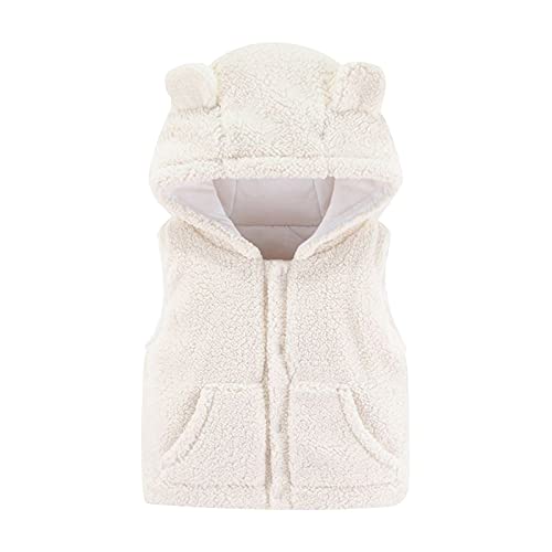 Kids Baby Boy Girl Winter Hooded Clothes Toddler 3D Ear Zipper Hoodie Coat Solid Color Long Sleeve Plush Warm