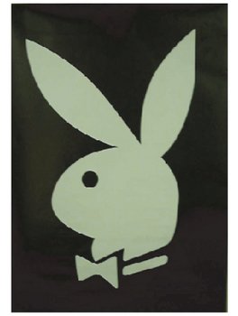 Amazon.co.jp: PLAYBOY ポスター : ホーム＆キッチン