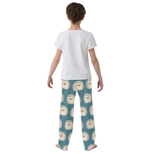 Pajama Pants Gray Hedgehogs Blue Pattern PJ Bottoms Sleepwear Lounge Sleep Pant with Pockets3
