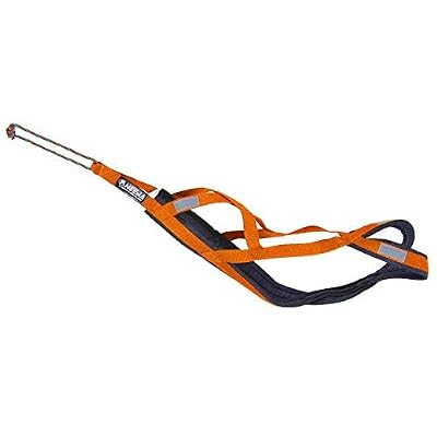 Neewa Neewa Pro Sled Dog Harness (Orange, Large (Neck 18 Singapore | Ubuy