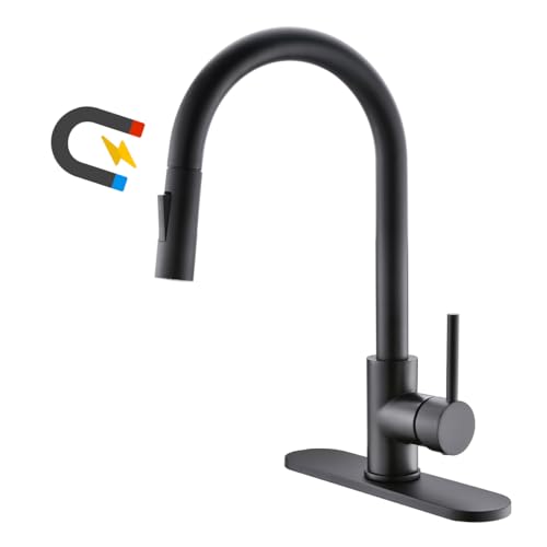 Havin Black Kitchen Faucet