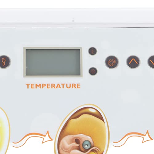 BAOFUYA Vollautomatische Ei-Inkubation 20 Ei-Inkubator-Tablett Digitale Ei-Brutmaschine zum Ausbrüten von Hühnern, Eiern… – Bild 5