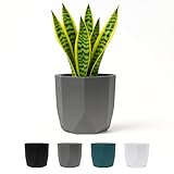 Bloem Tuxton Modern Hexagon Small Planter: 10' - Charcoal - Matte Finish, Durable Resin, Modern Design, Optional Drainage Holes, for Indoor and Outdoor Use, Gardening, 2.7 Gallon Capacity