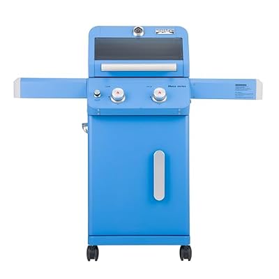Monument Grills 2-Burner Propane Gas Grill
