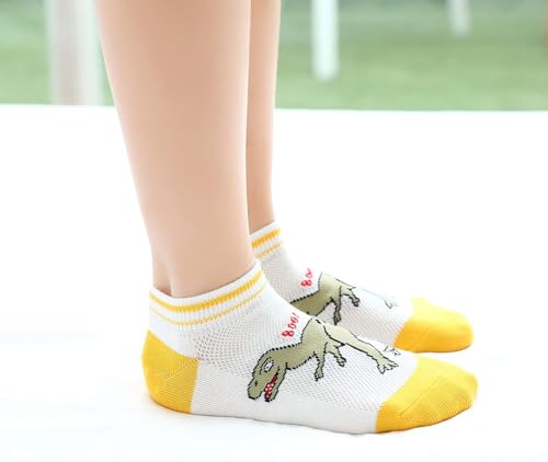 CHUNG Boys Cotton Ankle Socks 5/10 Pack Low Cut Dinosaur Mesh 2-9Y Light Weight Back School Running Sports Casual4