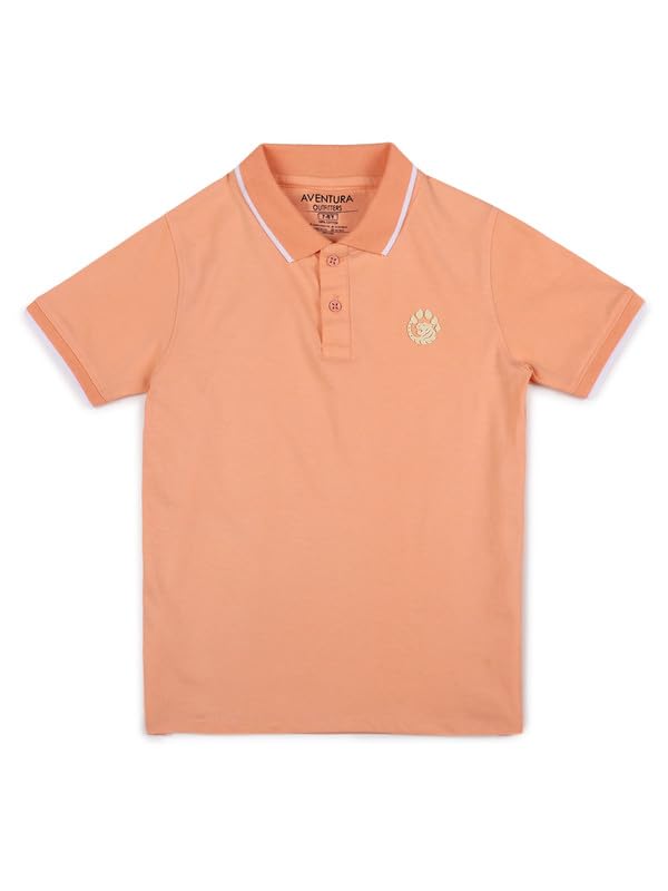 Image of Aventura Boys Polo T-Shirt Combo Pack of 2 - 100% Cotton Half Sleeve Collar T-Shirts for Boys (Age 5-12 Years)